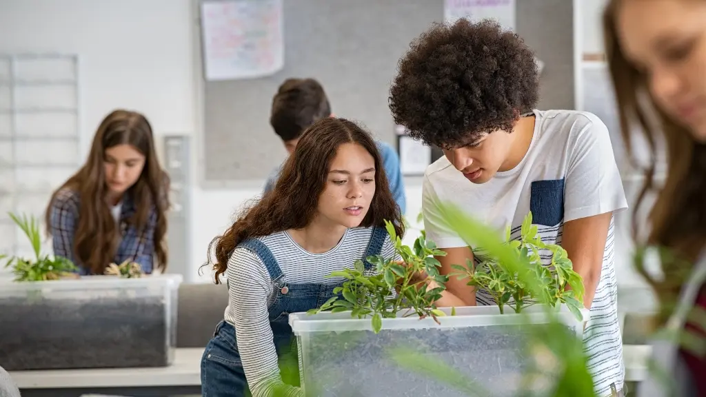 Todo lo que debes saber sobre la carrera en ciencias ambientales